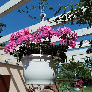  Apartment Anica Croatia